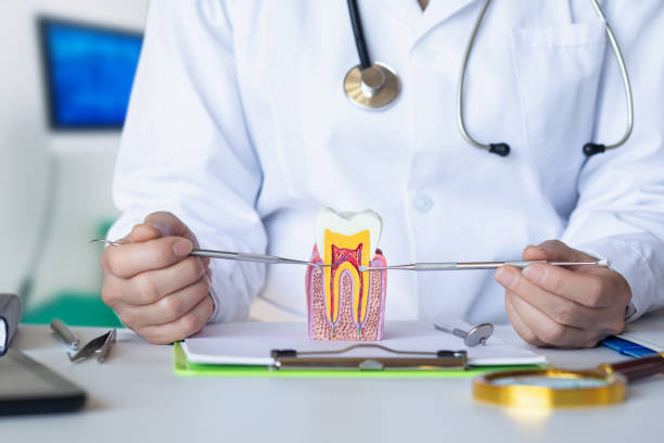 Best Emergency Tooth Extraction in Morningside, MD